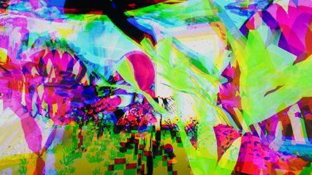 Protea_persistent.3114